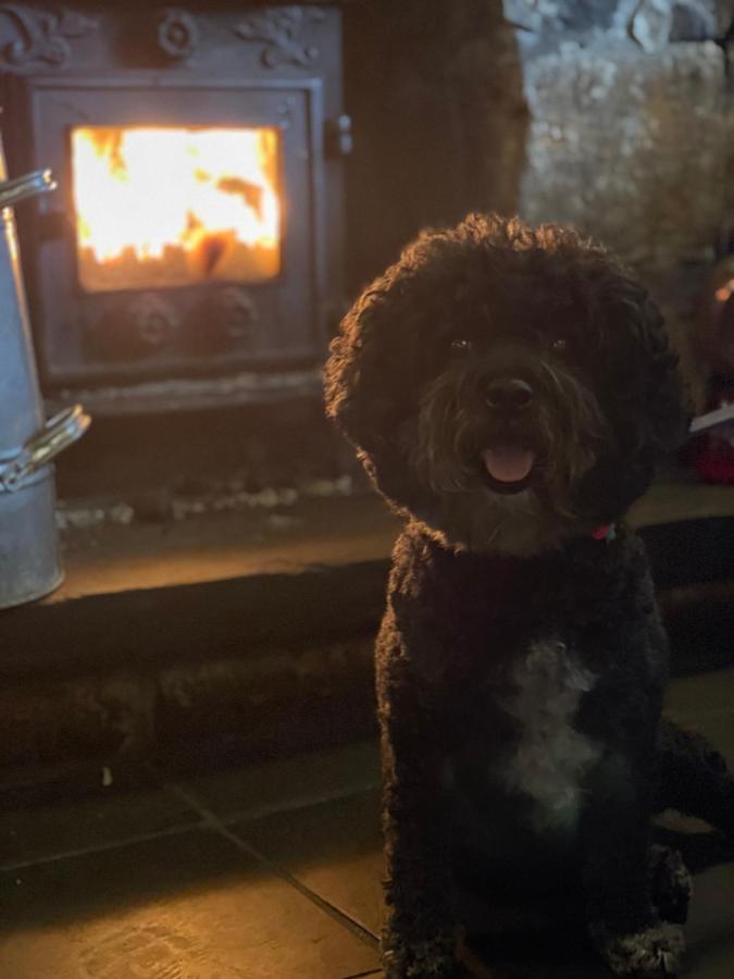 Garddfon Inn Y Felinheli Buitenkant foto